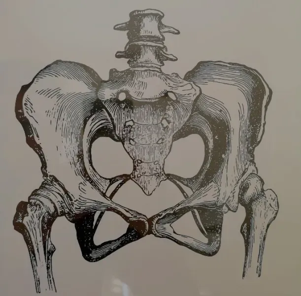 Le sacrum, c’est sacré, ok ! (Rien de mieux que de parler d'un élément clé)